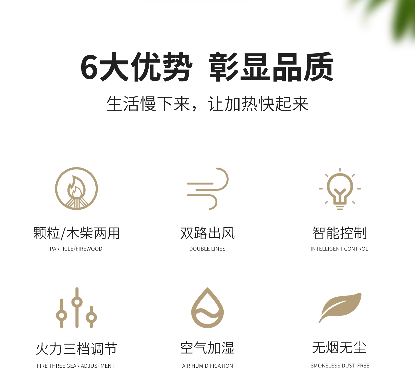 生物質(zhì)熱水鍋爐